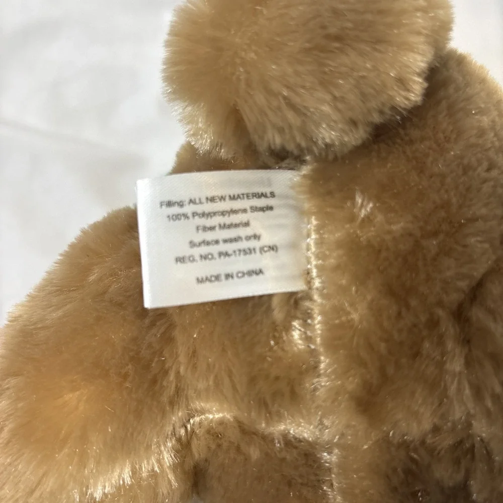 Giovanni & Giuliana Italian Speaking Singing Plush‎ Bears 11